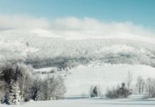 [BLOG] #23 Rzućmy wszystko i jedźmy w Bieszczady – część druga