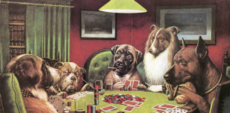 Zakulisowe rozgrywki w tle wyborów Teamu Online.