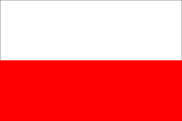 SCOOP 2014: Polacy nie gęsi i w Badugi grają…
