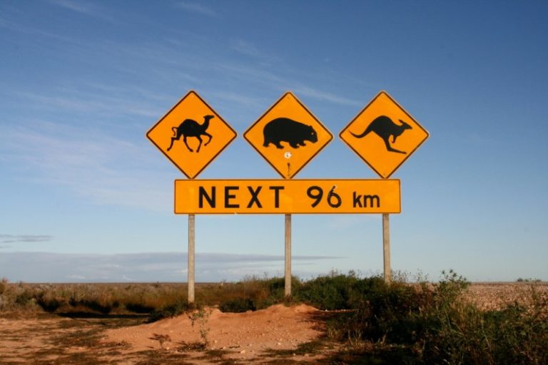 World Series of Poker Asia Pacific 2014