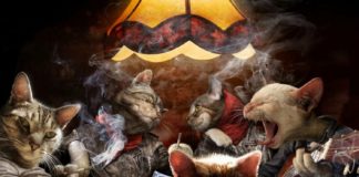 Jak zacząć swoją przygodę z pokerem?