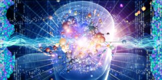 Analiza funkcji zestresowanego mózgu pokerzysty