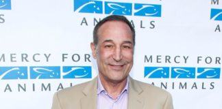 Nie żyje Sam Simon, pokerzysta i współtwórca Simpson-ów