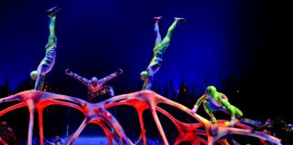 Guy Laliberte chce sprzedać Cyrk Słońca?