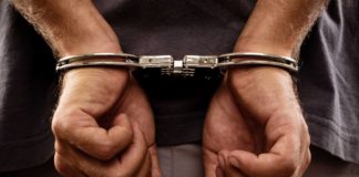 Włoski pokerzysta aresztowany za kradzież danych