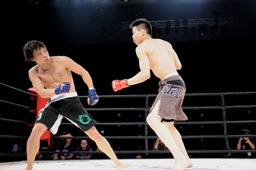 terrence chan poker mma fight