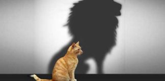 Mentalne bariery, które uwierają w pokerze – część 1