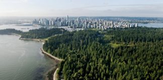 „Odbudowywanie pokerowego rolla w raju” – nadchodzi nowy film dokumentalny