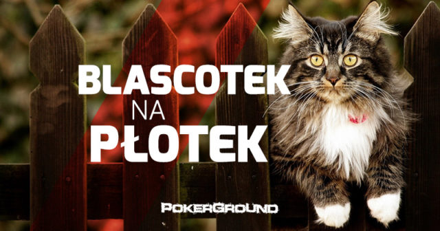 Blascotek na płotek – 002