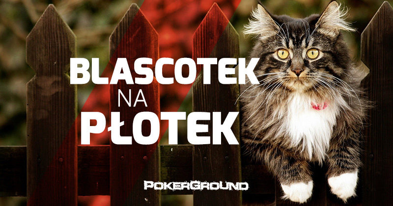 Blascotek na płotek – 002