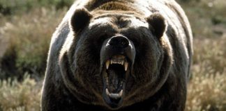 Jak grać przeciwko bardzo agresywnym rywalom? 2/3