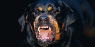 Jak grać przeciwko bardzo agresywnym rywalom? 1/3