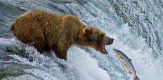 9 sposobów na to, jak zdominować gracza rekreacyjnego. Część 1/2