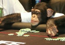 12 ważnych rad dla początkujących pokerzystów – Część 2/2