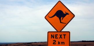 Firma Stars Group na dobre opuszcza rynek Australii