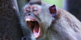 Jak pozbyć się złych nawyków na mikrostawkach? Część 3