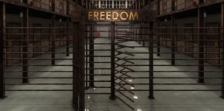 Były dyrektor Absolute Poker, Tom Scott, zwolniony z więzienia