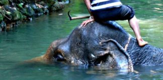 Trzy werbalne telle, które warto usłyszeć. Część 2