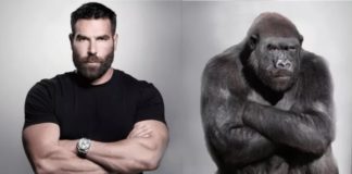 Jak minął ostatni miesiąc tego roku u Dana Bilzeriana?