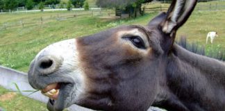 Jak sobie radzić ze szczęściarzem? Część 2