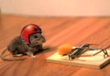 Jak błędy bet sizingu mogą niepotrzebnie komplikować nam rozdanie