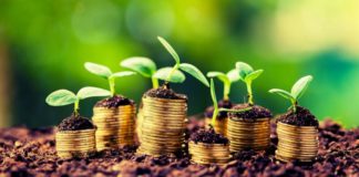 Pięć szybkich rad na temat bankrolla w grze online Bankroll - pięć szybkich porad