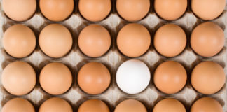 Większość przegrywa w pokera. Bądź w mniejszości!