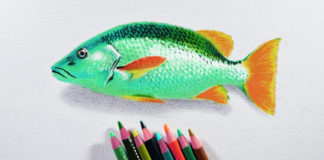 Do czego służy „kolorowanie graczy”? Pokazujemy, jak to robić