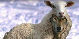 Zwodzenie zawodowców