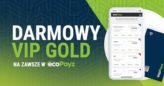 EcoPayz – najważniejsze informacje o portfelu elektronicznym + darmowy, dożywotni status Gold