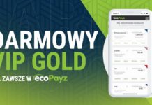 EcoPayz – najważniejsze informacje o portfelu elektronicznym + darmowy, dożywotni status Gold